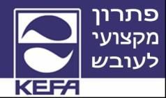 KEFA צבע מקצועי נגד עובש ופטריות