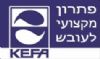 KEFA צבע מקצועי נגד עובש ופטריות